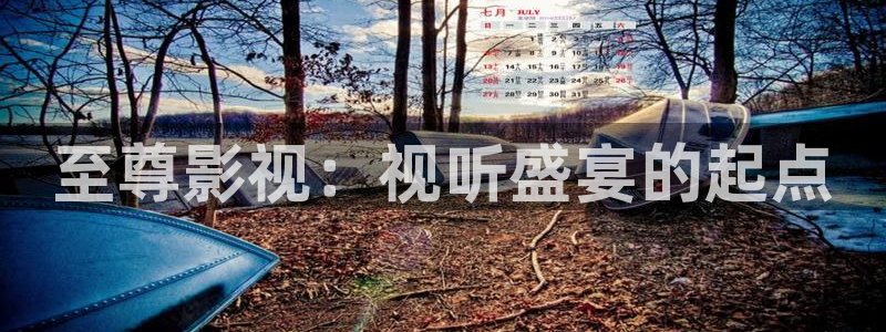 大地资源视频高清在线观看(二)：至尊影视：视听盛宴的起点