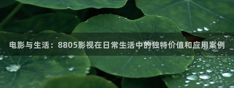 大地影院今日上映电影排期：电影与生活：8805影视在日常生活中的独特价值和应用案例