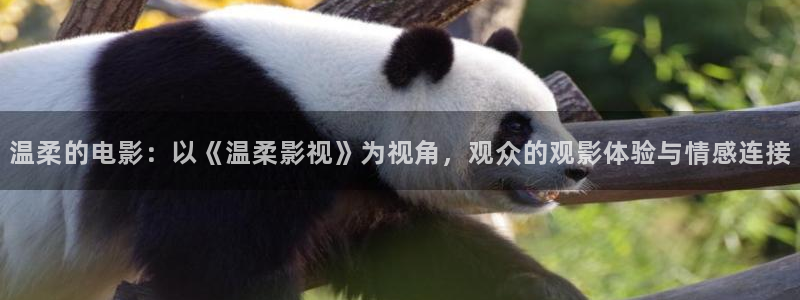 大地资源高清在线视频播放免费版：温柔的电影：以《温柔影视》为视角，观众的观影体验与情感连接