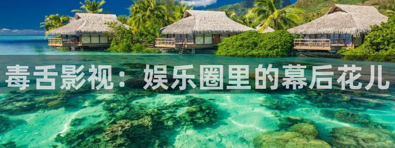 汕尾大地影院：毒舌影视：娱乐圈里的幕后花儿