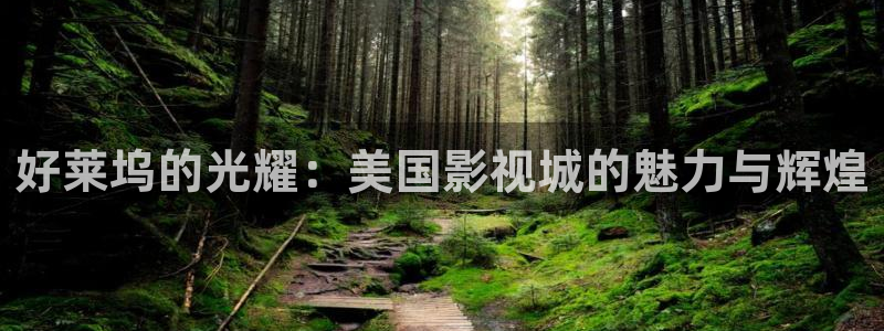 天津大地影院：好莱坞的光耀：美国影视城的魅力与辉煌