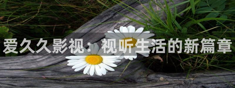 大地动漫在线影视免费观看：爱久久影视：视听生活的新篇章