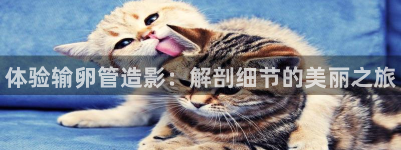 大地资源10在线播放免费：体验输卵管造影：解剖细节的美丽之旅