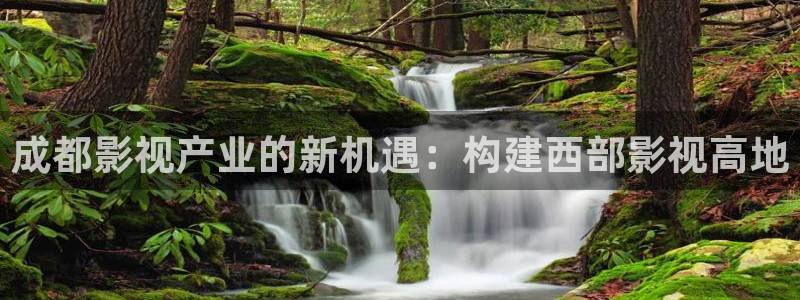 大地影视中文字幕：成都影视产业的新机遇：构建西部影视高地