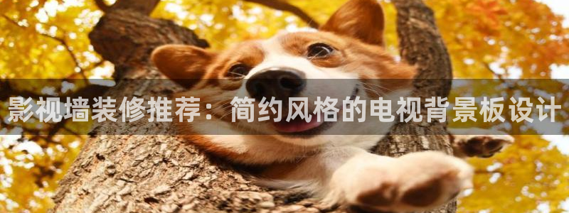 大地电影资源在线播放：影视墙装修推荐：简约风格的电视背景板设计