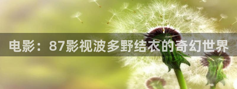 大地星光影院：电影：87影视波多野结衣的奇幻世界